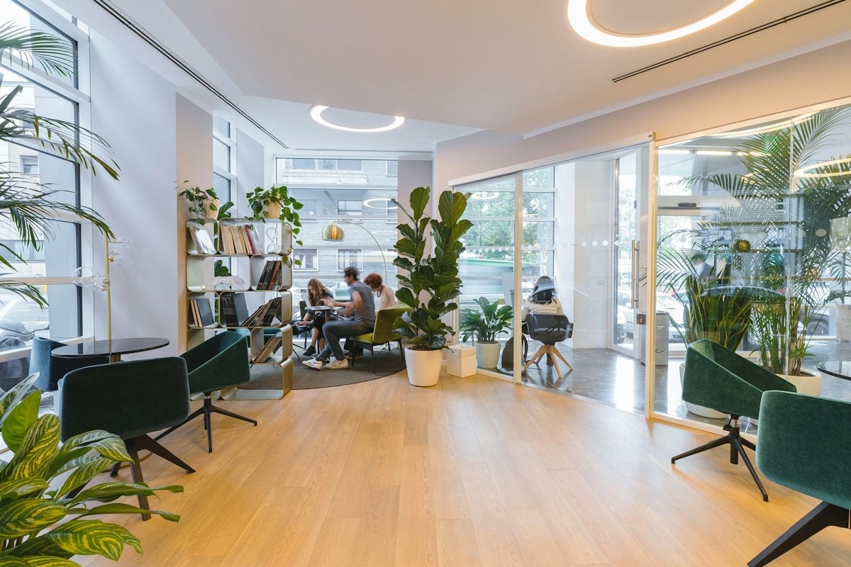 Bitkili, aydınlık ofis katı